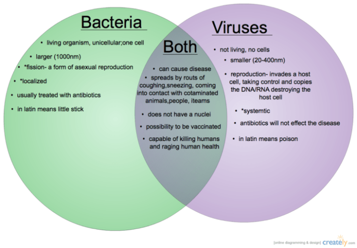 Bacteria vs viruses venn diagram