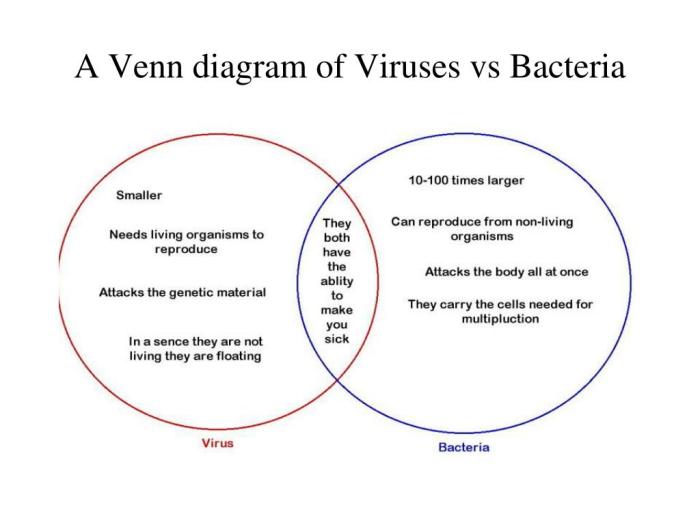 Bacteria diagram venn viruses vs creately