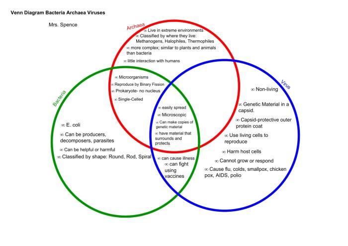 Virus bacteria diagram venn pdf kb resources