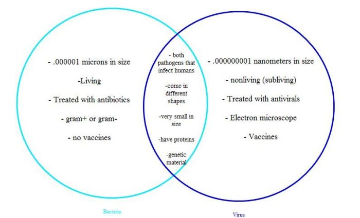 Prokaryotic eukaryotic cells venn bacteria microbiology prokaryotes eukaryotes bacterial wiring exatin physiology