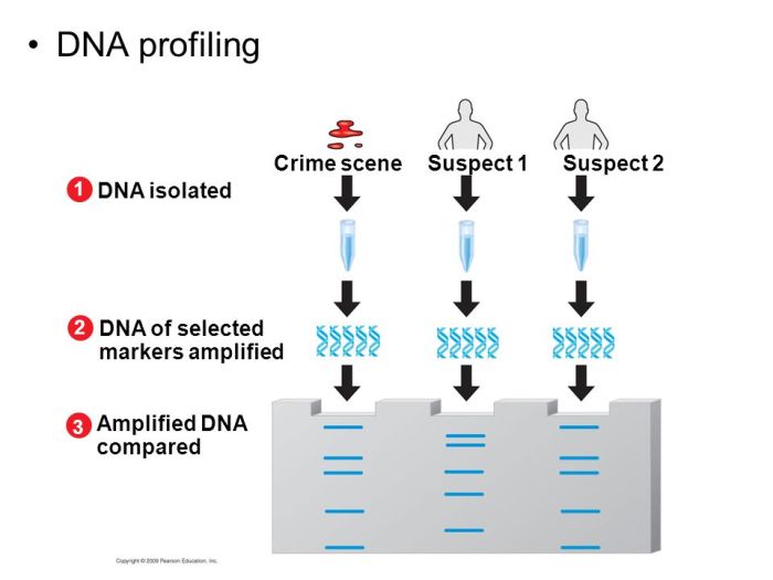 Microarray bioinformatics affymetrix