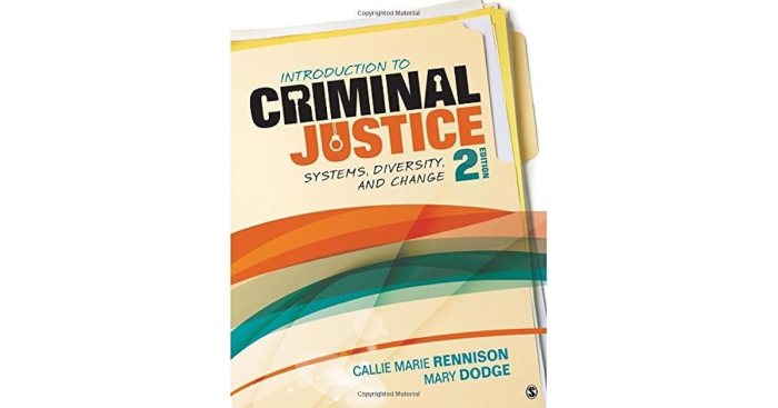 Introduction to criminal justice systems diversity and change fourth edition