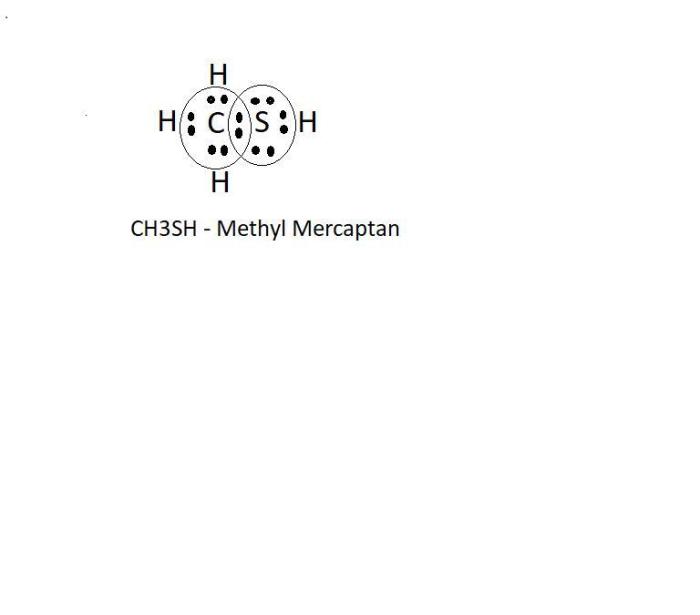 Draw the lewis structure of methyl mercaptan