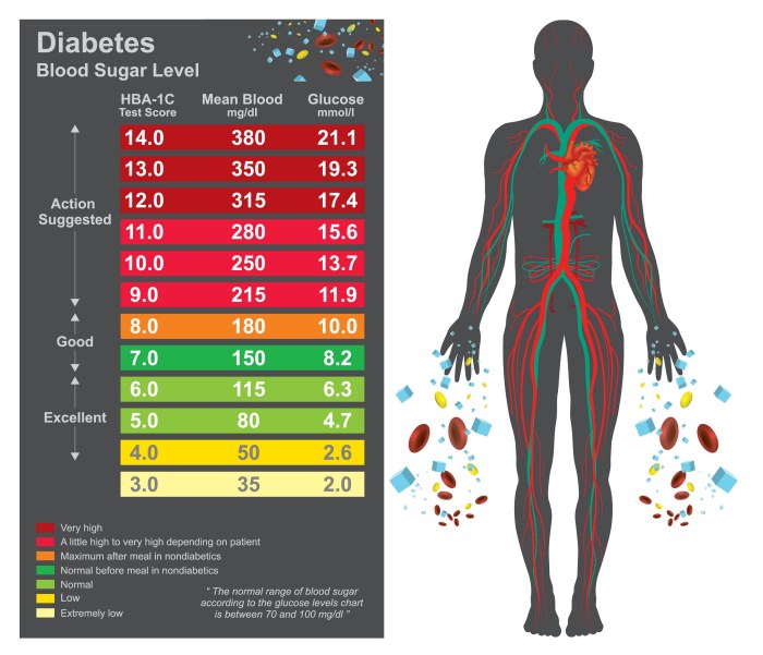 When testing insulin levels on swimming fish hyperglycemia results in