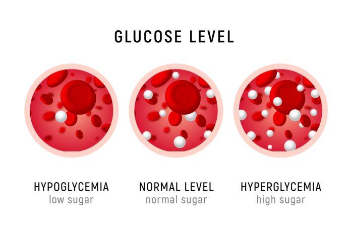 When testing insulin levels on swimming fish hyperglycemia results in