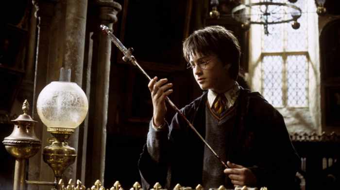 Harry potter chamber of secrets ar test answers